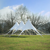 Camping Beach Star Spider Tent for Outdoor Display Events