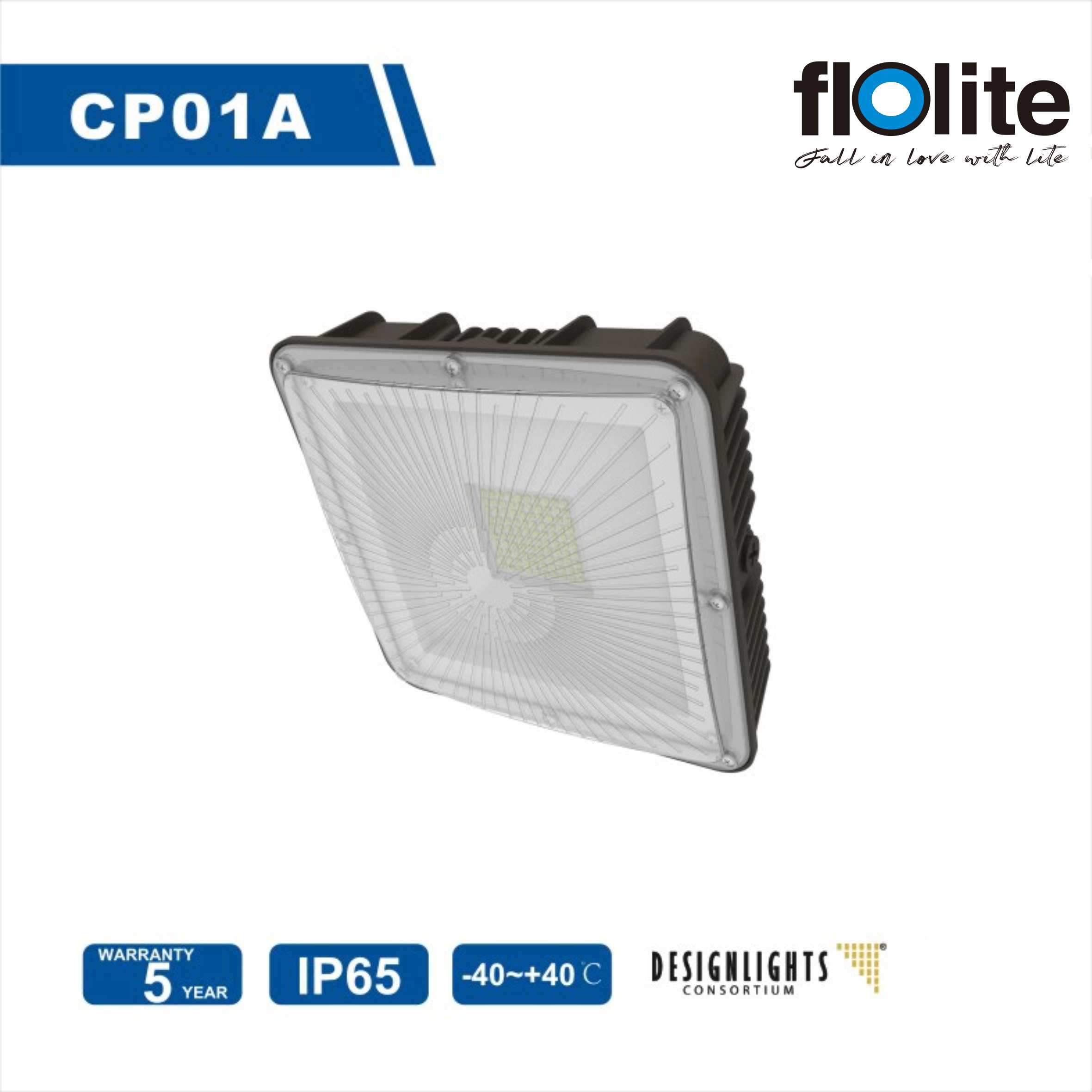 CP01A LED Canopy Light