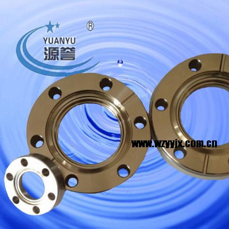 CF Vacuum Non Rotable Flange