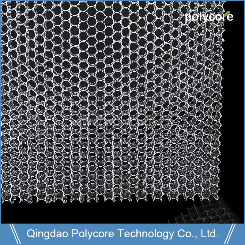 malaking corecell plastic honeycomb scale production sa China