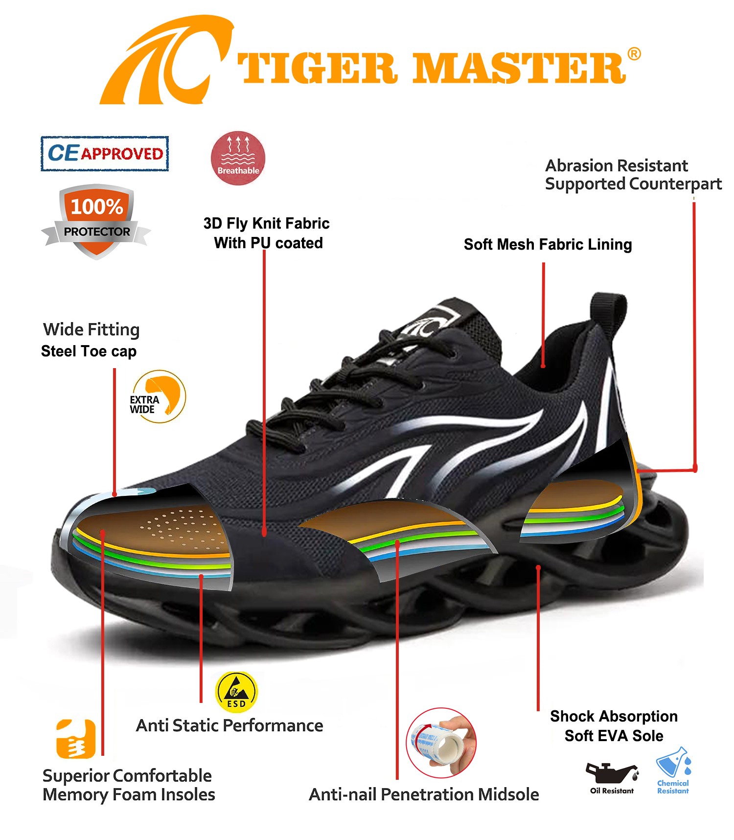 TM3172 SAFETY SHOES 6(1)