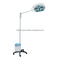 emergency operation shadowless lamp with