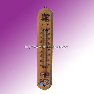 Family Thermometer