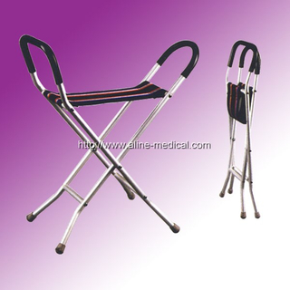 Walking Stick