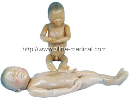 Newborn Model(Baby model)