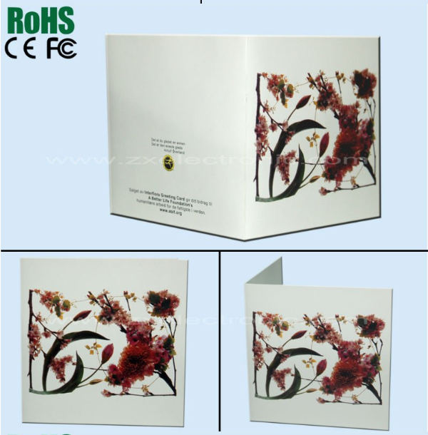 Professional Christmas cards, invitation cards,birthday cards wholesale greeting cards