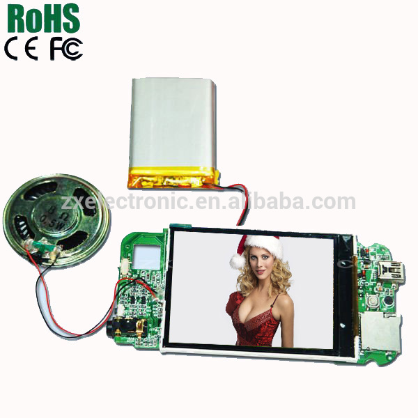 LCD brochures video card chips