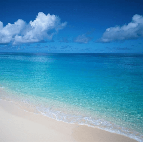 Finalmente intenté el sensor de cerámica piezoeléctrico por una semana y esto es qué sucedió.