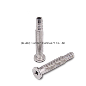 Tornillo hueco métrico de acero inoxidable personalizado M10 X 70