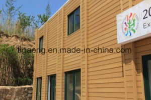 Nuevo compuesto pl&aacute;stico de madera modificado para requisitos particulares WPC en interiores y productos al aire libre