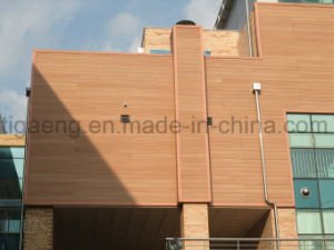 Nuevos revestimiento/panel decorativos materiales de la pared de WPC para Europa y Norteam&eacute;rica