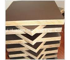 Plywood for Formwork Brown Film WBP Glue Poplar Core
