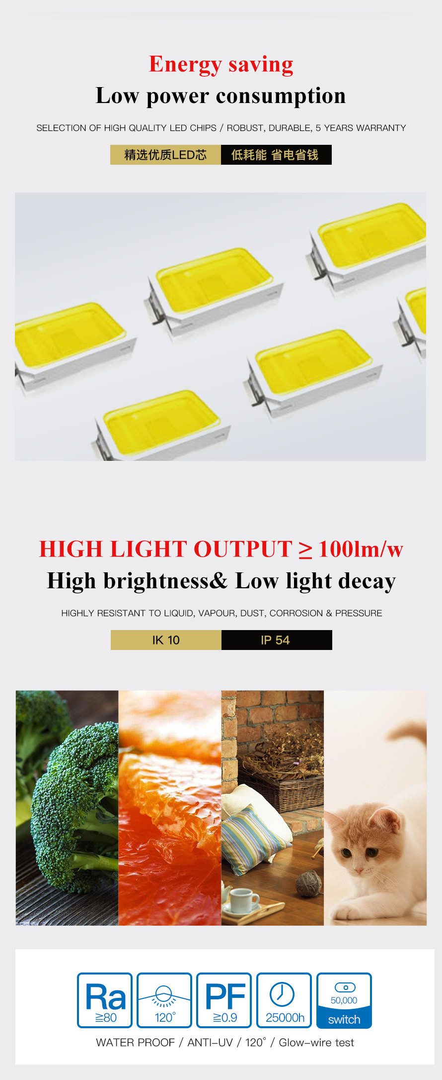 Bh371 LED Bulkhead
