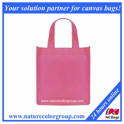 Mini Non-Woven Gift Bag