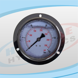 PG100 Series Stainless Pressure Gauge