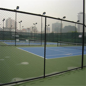 PVC Coated Chain Link Fence/Hot Dipped Galvanized Chain Link Fence for Stadium