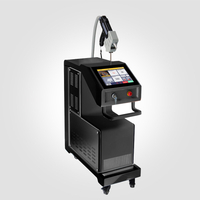 Q Switched Nd Yag Laser Pico Laser Tattoo Entfernungsmaschine Preis Preis