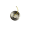 Piezo Ultrasonic Transducer --4AA70019F1000SWA