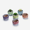  best selling color glazed stoneware flower pot