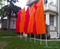 Complete for Sale Home Decoration Flying Pole Garden Flag with print vivid color