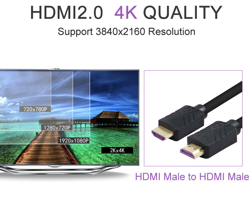 Conectores macho HDMI a macho enchapados en oro