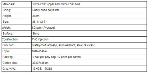 New collection women rain boots