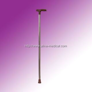 Walking Stick