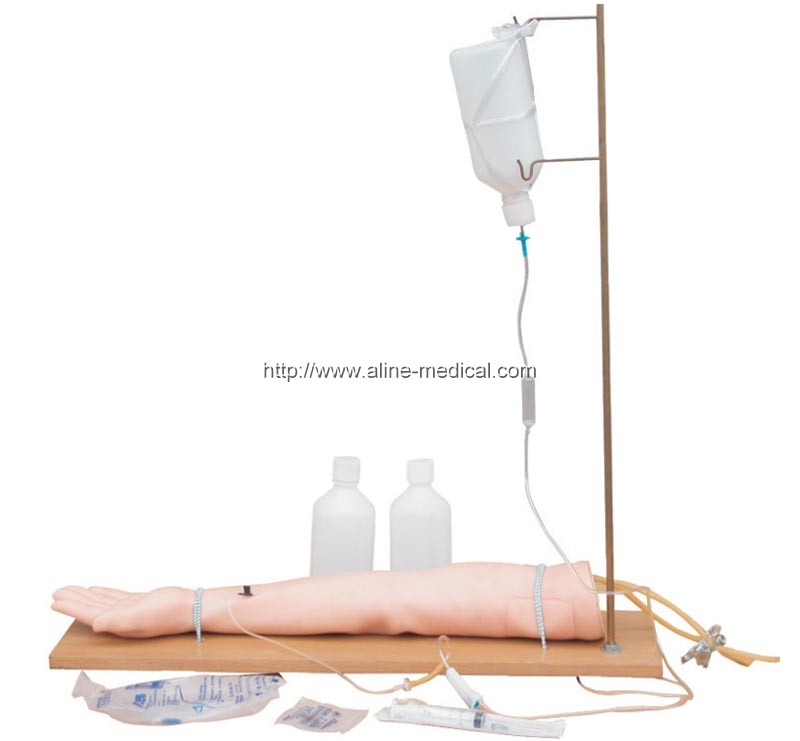 Injectable Training Arm Model (With Set)