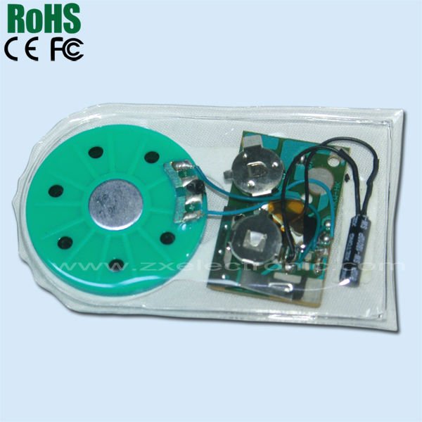 Waterproof sound chip for cloth or shoes