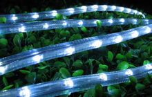 Flex LED Light Bkflex004