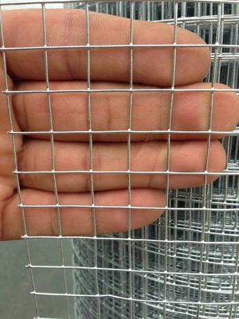 1/2 inch hot dipped galvanized welded wire mesh