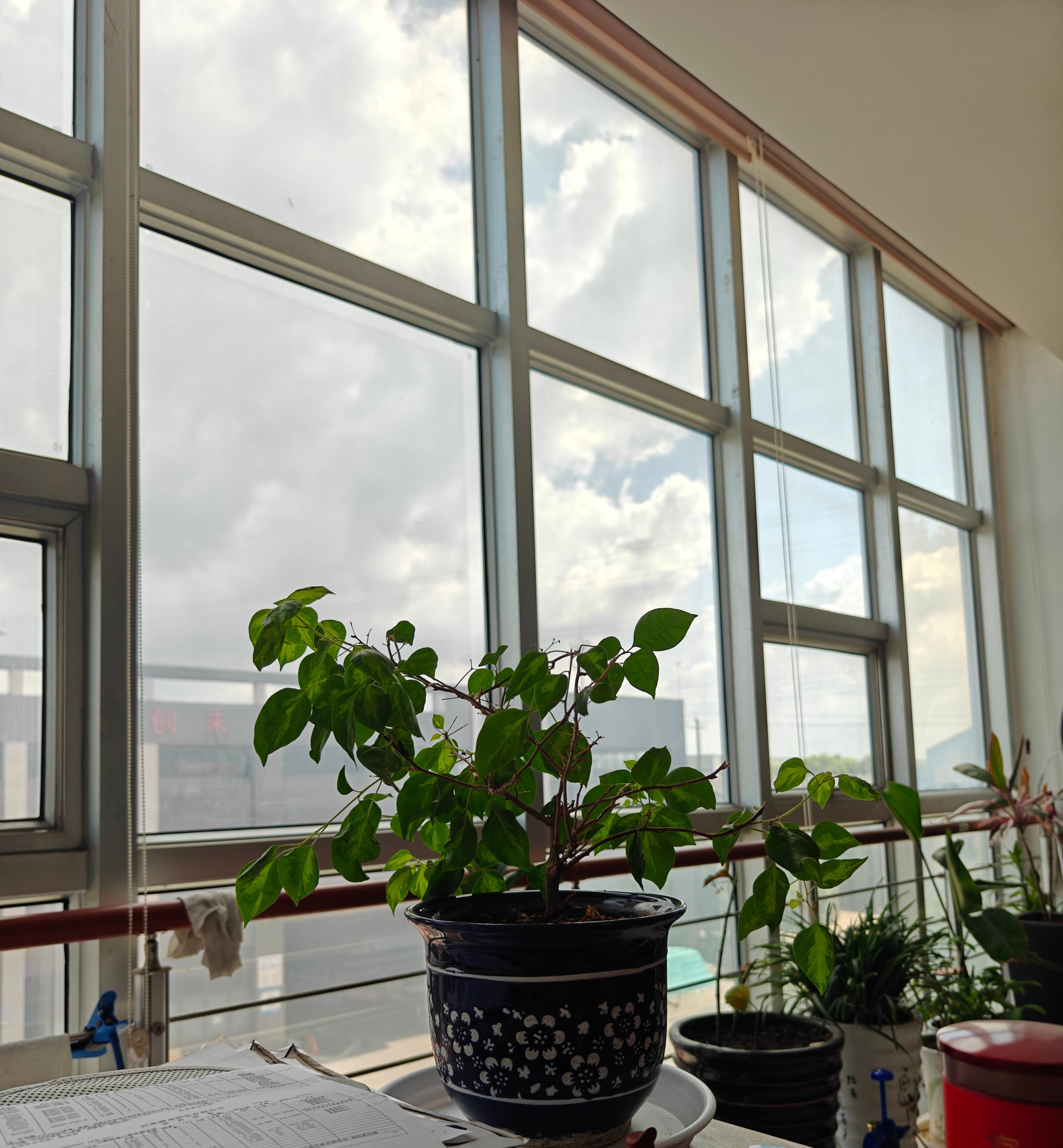 How to replace glass from casement aluminum window