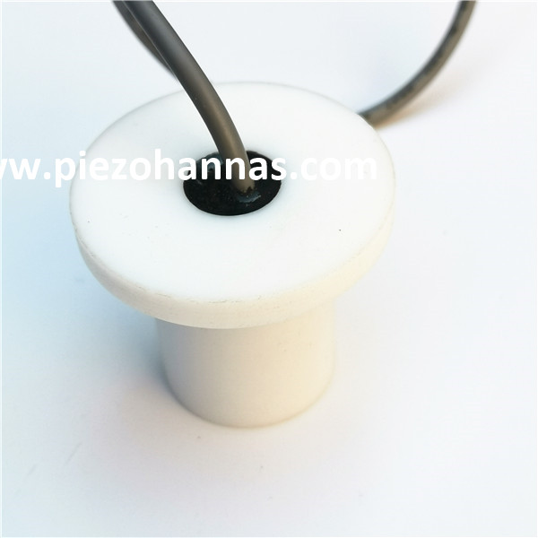 Transductor ultras&oacute;nico submarino de 2MHz medidor de flujo ultras&oacute;nico