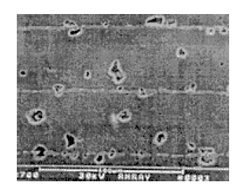 KRH% 56L3TJP8IYA (89PX