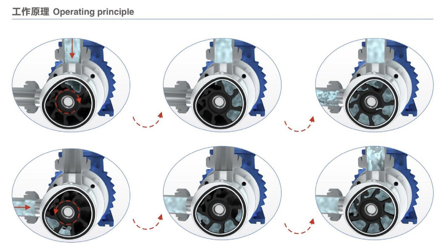 фотобанк (7) 