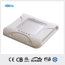 CP05A LED Canopy Light