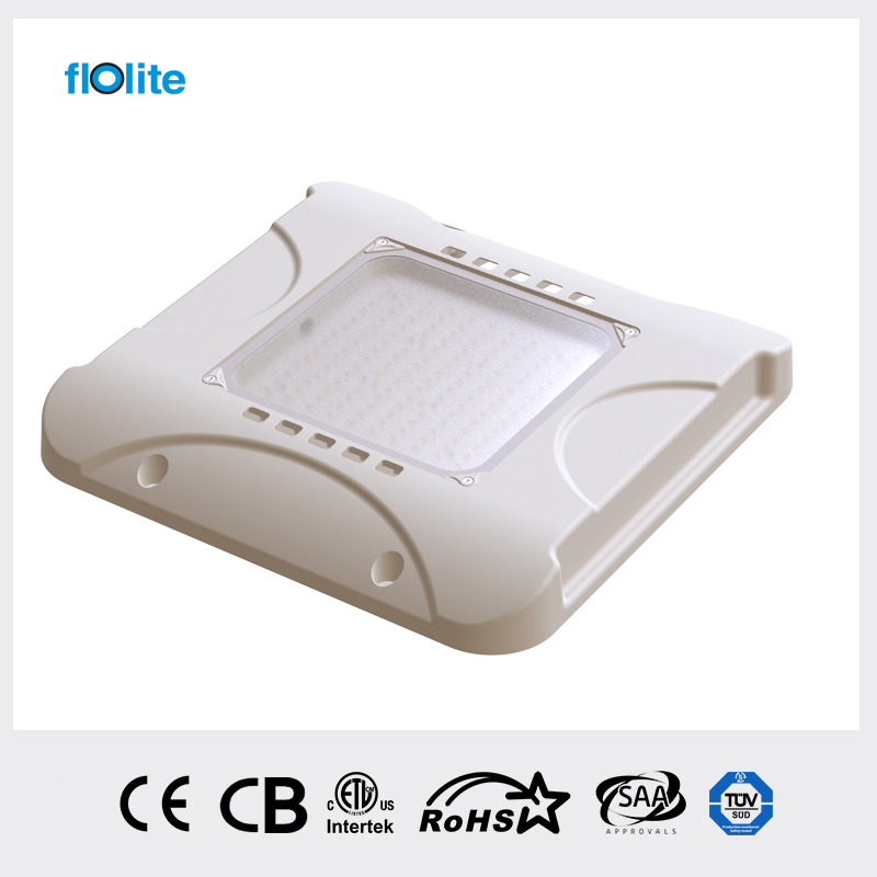 CP05A LED Canopy Light