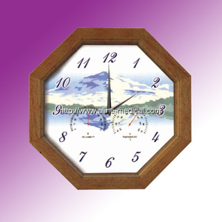 Indoor Thermometer