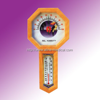 Indoor Thermometer
