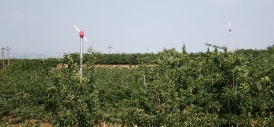 Ventilador de huerto utilizado en granjas (FSJ-85)