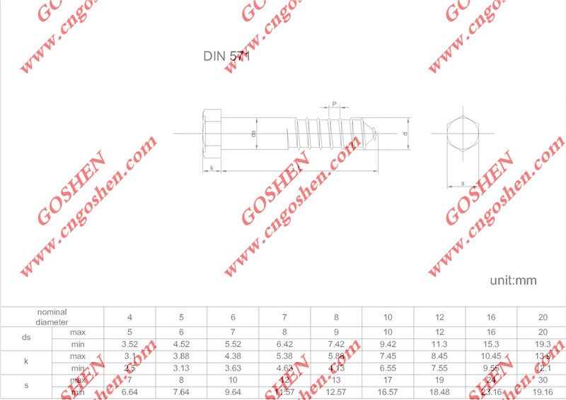 DIN 571 acero inoxidable screw.jpg