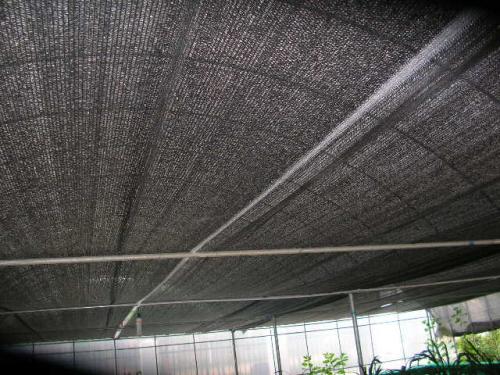 shading net