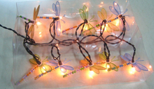 LED String Light Bkled0134