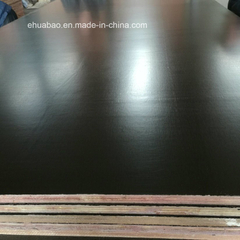 Film Faced Plywood, Poplar Core Top Grade WBP Glue
