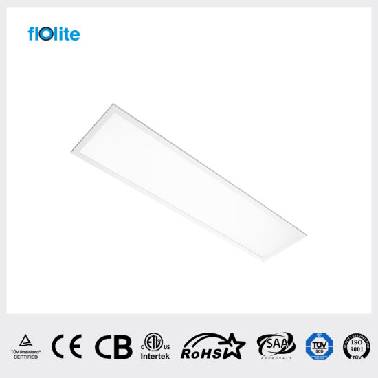 48W LED Panel Light 295*1195mm