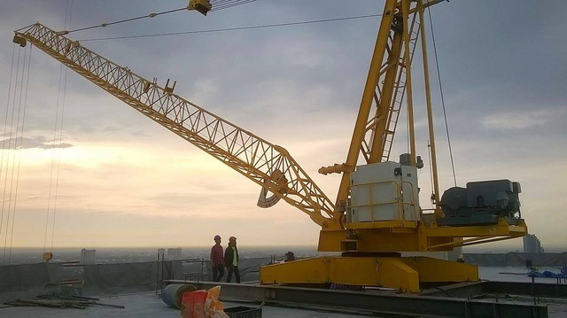 Derrick Crane TD2530-8