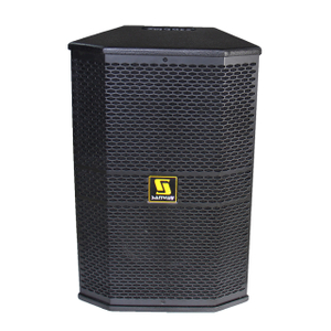 AT10 Single 10 "Altavoz profesional de audio para interiores