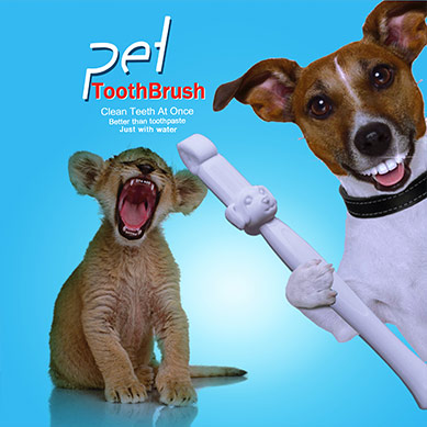 New pet toothbrush
