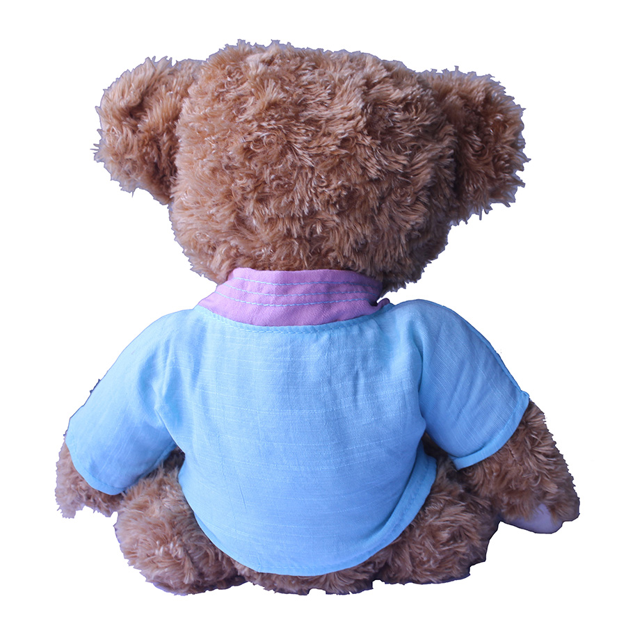 Teddy Bear,Pillow, Doll, Sleeping Pillow, Birthday Gift, Confession Artifact