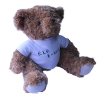 Teddy Bear，Plush Doll，Doll，Throw Pillow，Cartoon Throw Pillow